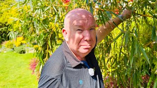 INSIDE Mick Garvey’s STUNNING Spring Garden 🌸 Full Tour + Summer Gardening Tips You NEED!