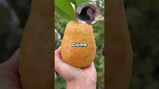 My Uber driver took a wrong turn, corrected himself, then said he used to pick up someone from my ad