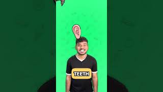 Learn Face Parts for Kids 🦷👃🏻 | Ear Eyes Nose Hairs Teeth Lips  (US/UK)