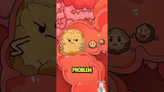 The Secret to a Perfect Poop Every Time! ✨ #shorts #science