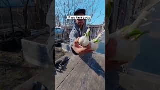 What True Generational Wealth Means