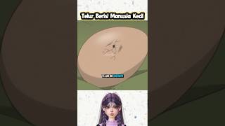 Telur Berisi Manusia Kecil | alur cerita anime | cerita animasi
