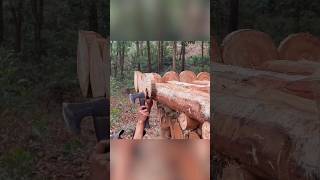 My Off-Grid Escape 😱 100% Handmade Cabin in Forest #bushcraft #survival #construction #outdoor