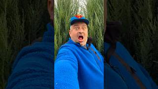 Survival Skills: Useful and Clever #outdoors #survival #campfire #bushcraft