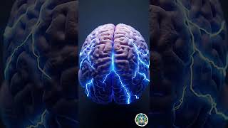 7 Days Without Sleep — What Happens to Your Brain #healthcare #science