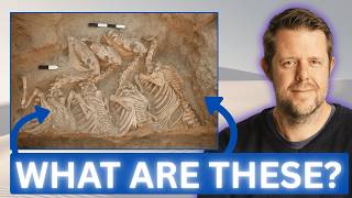 Mesopotamia’s Lost Super-Animals